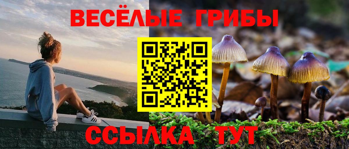 купить наркотики сайты  Галлюциногенные грибы MAGIC MUSHROOMS  Псилоцибиновые грибы Magic Shrooms  Вход с VPN  Шебекино 