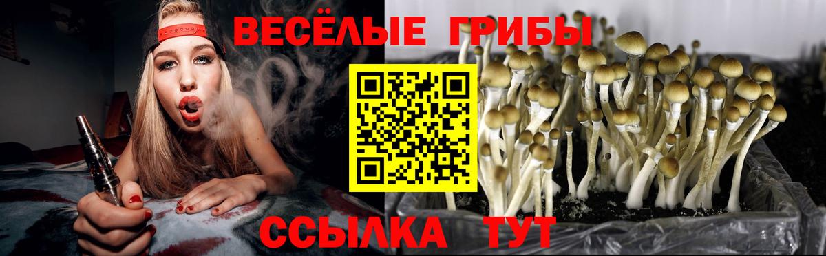 Псилоцибиновые грибы мухоморы Шебекино